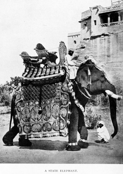 A State Elephant