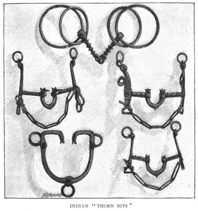 Indian Thorn Bits