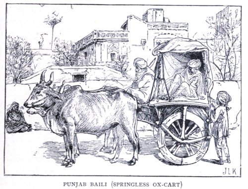 Punjabi Baili