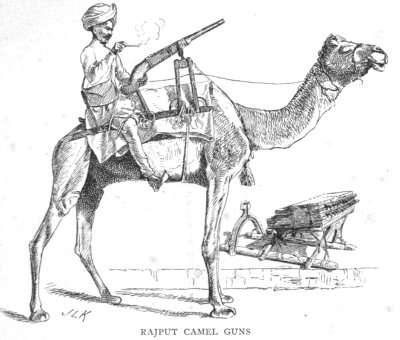 Rajput Camel Guns