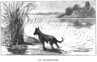 In Floodtime