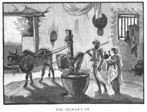 Oilman’s Ox