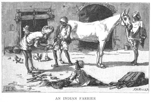 Indian Farrier