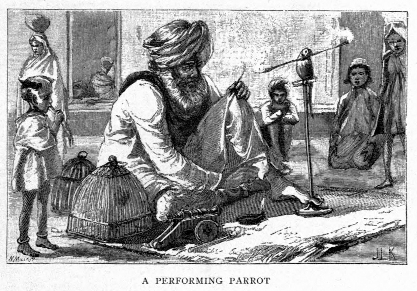 Performing Parrot