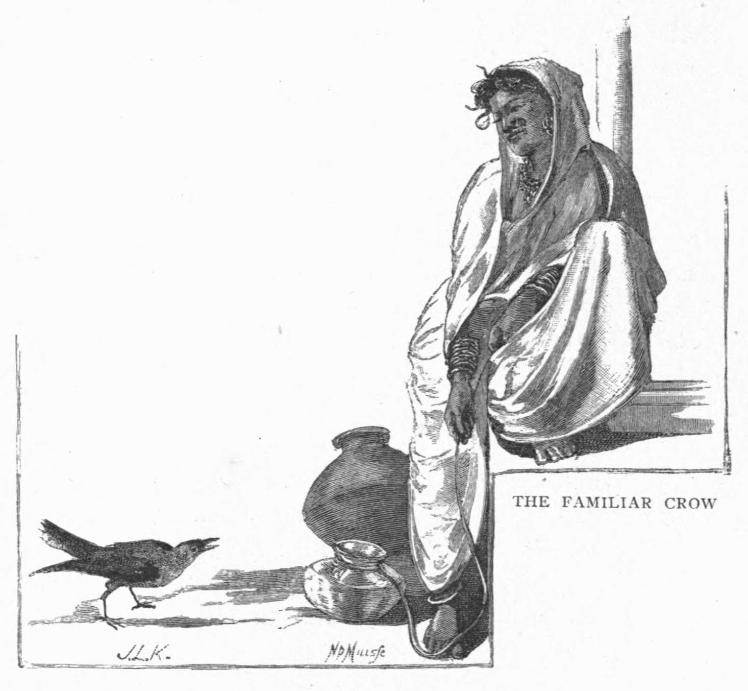 Familiar Crow