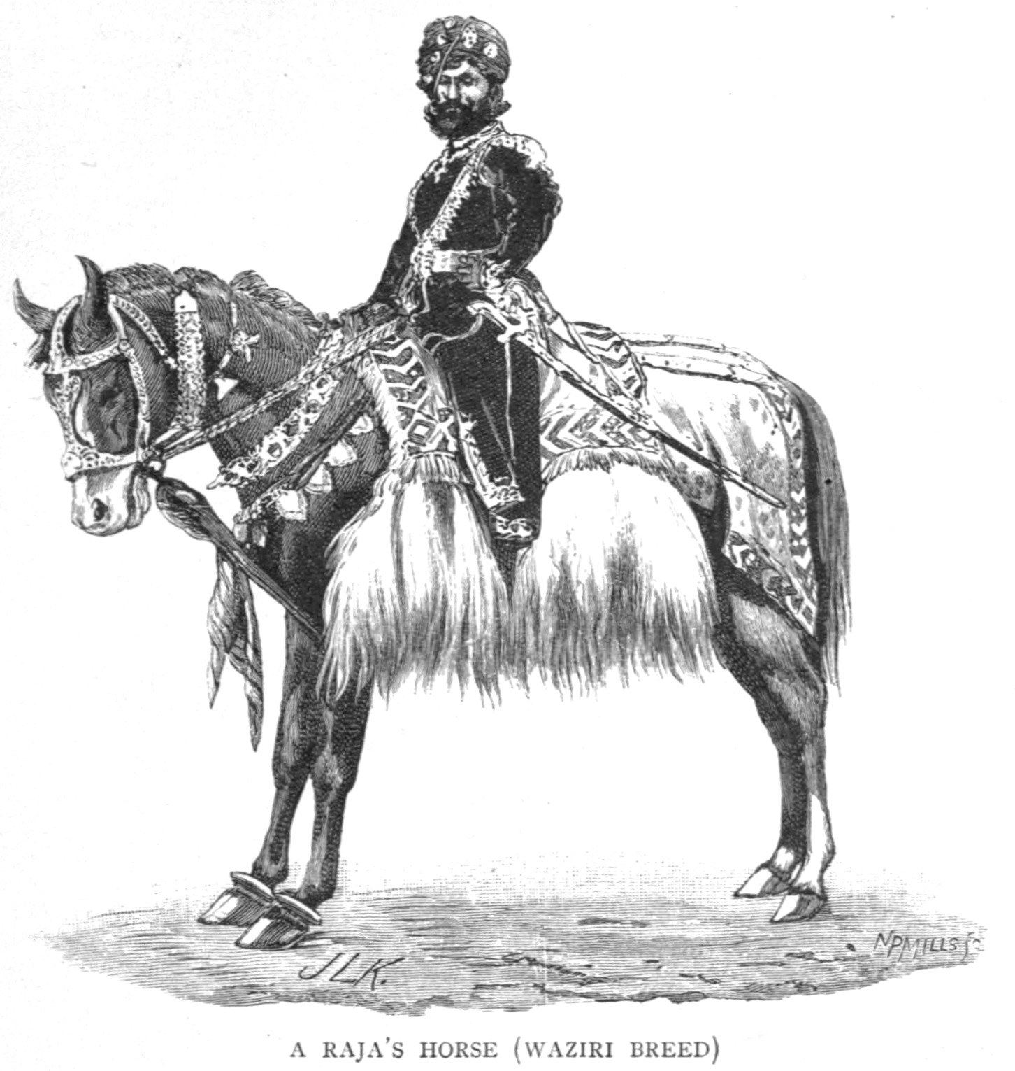 Rajah’s Horse