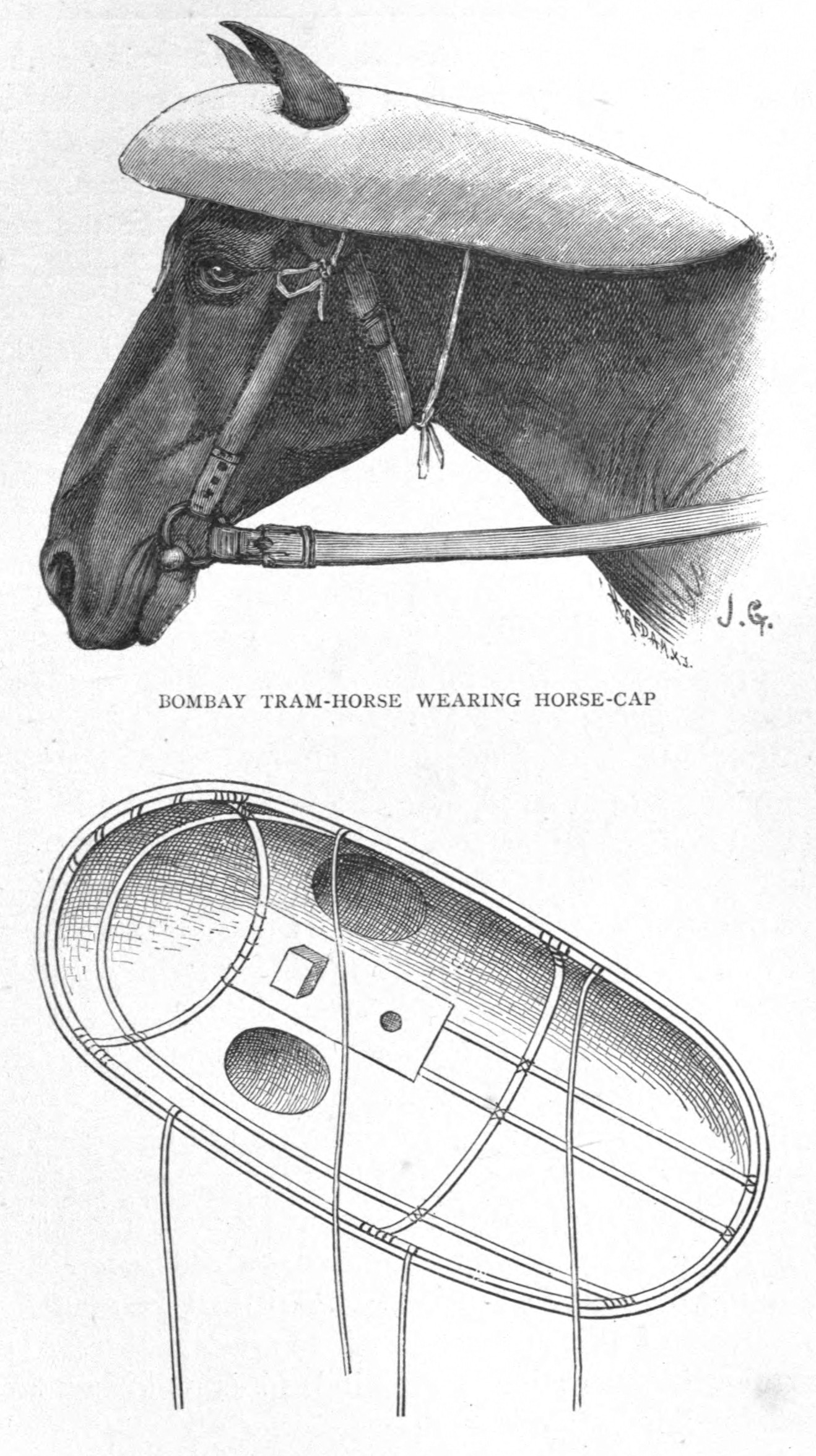 Bombay Tram Horse
