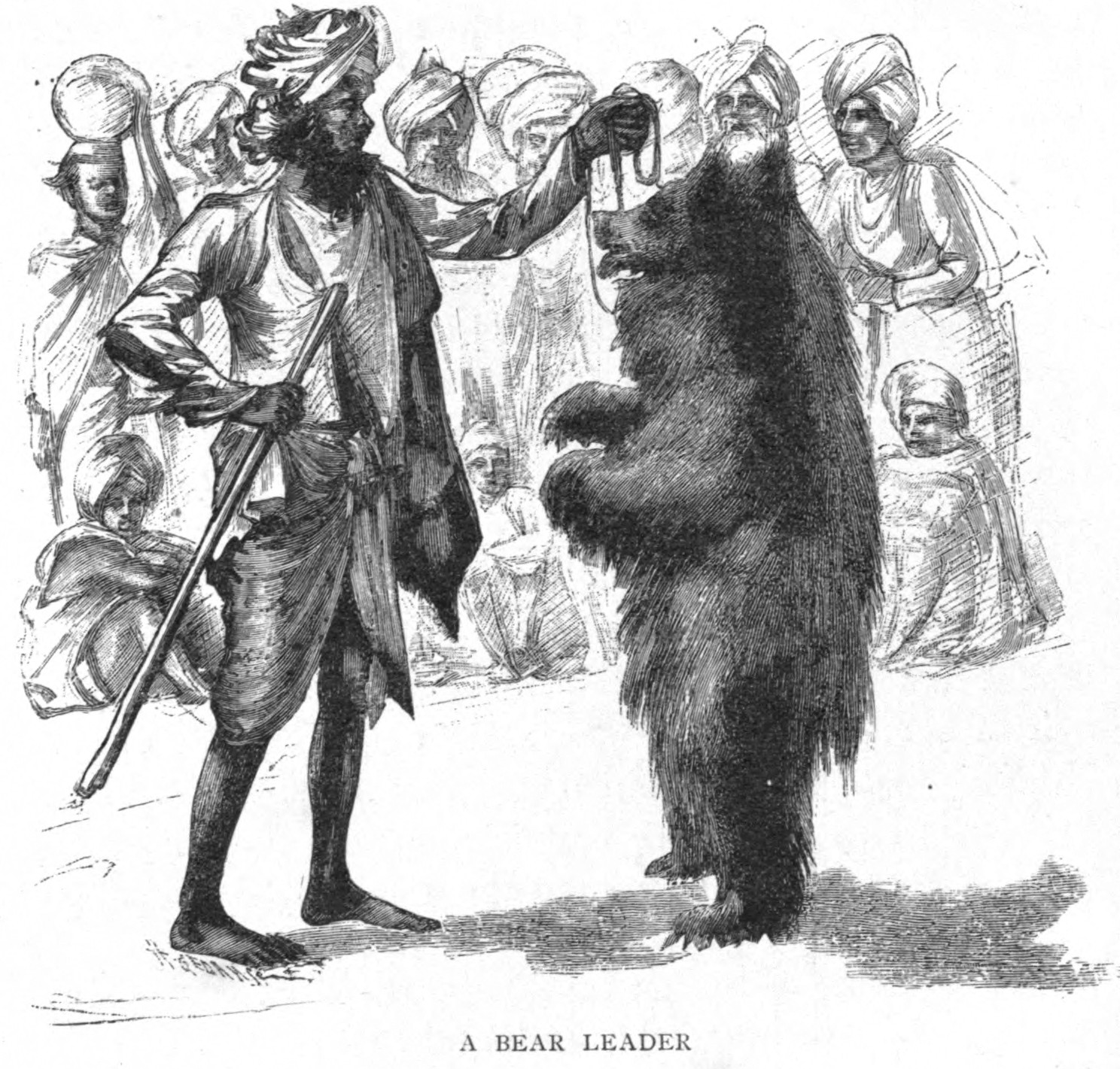 Bear Leader