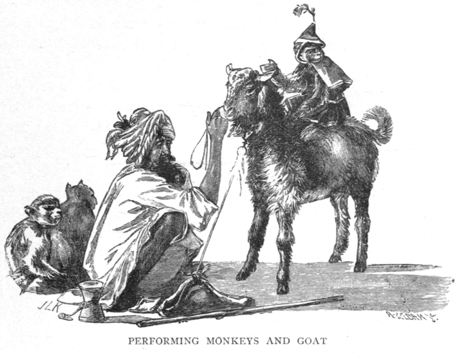 Performing Monkeys