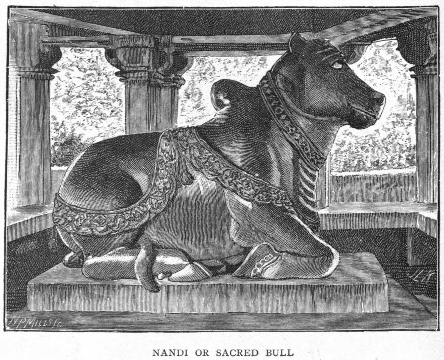 Nandi